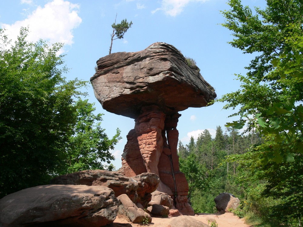 Fotogalerie – Pfälzerwald