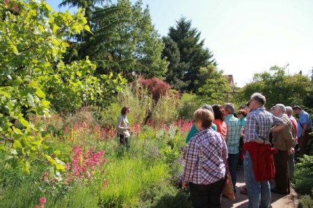 Führung Mediterraner Garten_Internet