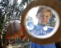 Junge Entdecker:innen im Pfälzerwald