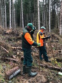 Laubbaumpflanzungen in sieben Gemeinden des Biosphärenreservats