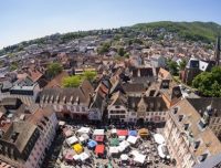 Pfälzerwald: SDG-Modellregion für ein nachhaltiges Rheinland-Pfalz