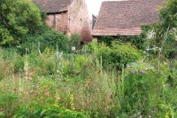 Frist für Teilnahme am Garten-Wettbewerb verlängert – jetzt bis 26. April möglich