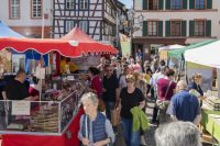 Deutsch-französische Biosphären-Bauernmärkte in Baerenthal und Neustadt fallen aus