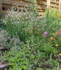 Programm zum deutsch-französischen Garten-Projekt