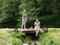 Mehr Besucherinnen und Besucher im Pfälzerwald