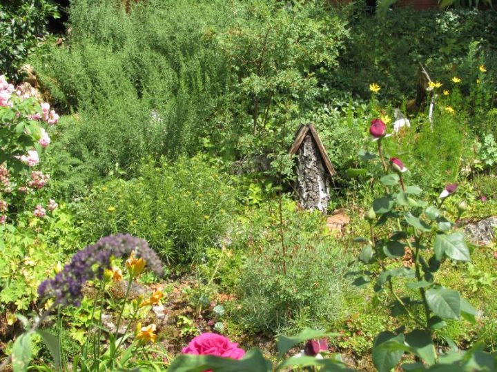 Mit hohem ästhetischem Wert und hoher Artenvielfalt: Der Garten von Hans Müller in Klingenmünster, der den zweiten Platz im diesjährigen Wettbewerb belegte (Foto: Biosphärenreservat)