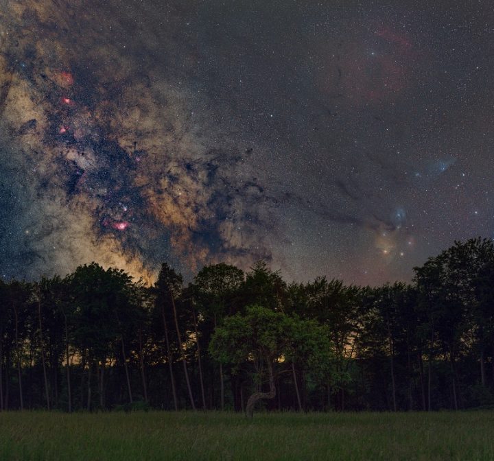 Hier sieht man eine gekrümmte Kiefer auf einer dunklen Wiese. Im Hintergrund sind weitere Bäume zu erkennen. Der Himmel über der Landschaft zeigt mit aber tausend Sternen das Milchstraßenzentrum in seiner bunten Pracht.