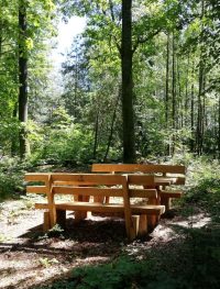 Zum Schutz der natürlichen Nacht im Pfälzerwald