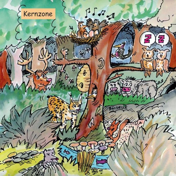 Illustration über die Kernzone