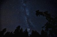 Leoniden 2020 – Lichtblicke im November