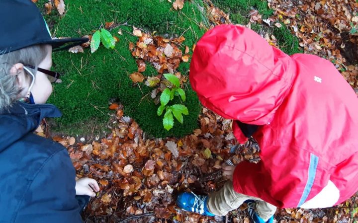 Kinder der Pirmasenser Grundschule suchen nach Tierspuren