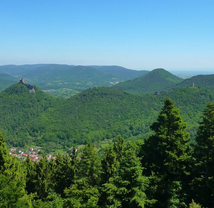 Blick vom Rehbergturm zum Trifels