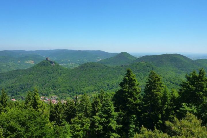 Ausblick auf den Trifels bei Annweiler