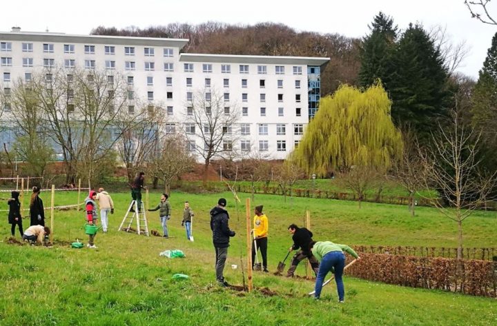 Schülerinnen und Schüler packen bei einer Obstbaum-Pflanzaktion in Bad Bergzabern an