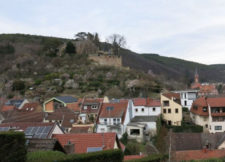 Das Foto zeigt den Blick auf das Dorf Haardt und das Haardter Schloss im Frühjahr 2021.