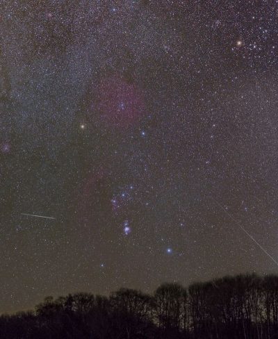 Das Bild zeigt einen Streifen Wald aus dem Biosphärenreservat mit einem nächtlichen Himmel darüber, an dem sehr viele Sterne zu sehen sind.