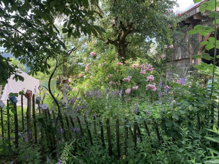 Ein blühender naturnaher Garten im Sommer