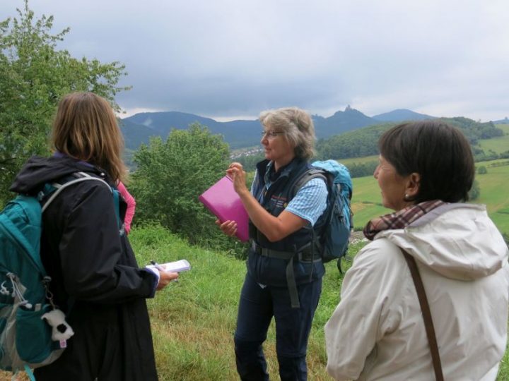 Biosphären-Guide Andrea Frech steht vor einer Gruppe, im Hintergrund der Pfälzerwald