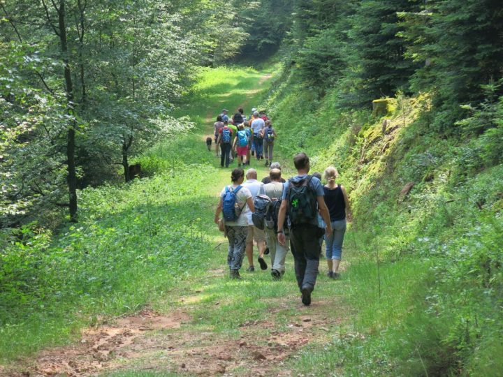 Das Foto zeigt eine Gruppe an Menschen im Wald