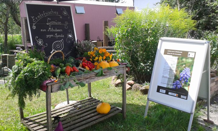 Das Bild zeigt einen "Verkaufsstand" mit frischem Gemüse zum Mitnehmen gegen eine Spende