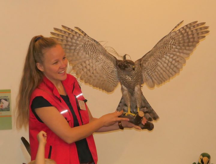 Das Bild zeigt eine Frau mit einem Greifvogel auf dem Arm, der seine Flügel ausbreitet