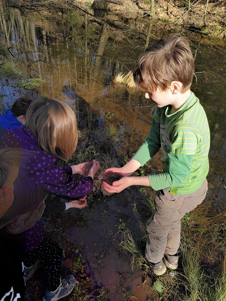 Das Bild zeigt Schulkinder, die das Ufer eines Bachs untersuchen.