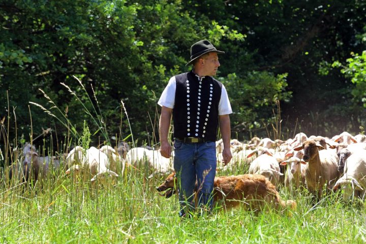 Das Bild zeigt den Schäfer Sven Keller bei seiner Herde im Wasgau.