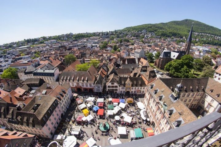 Das Foto zeigt den Blick vom Turm der Stiftskirche auf den Marktplatz in Neustadt an der Weinstraße