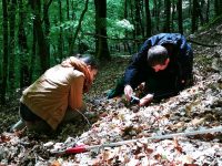 Bewerbung für Umweltpraktikum im Biosphärenreservat eröffnet