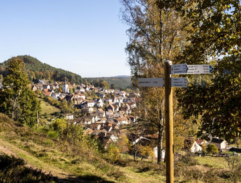 Das Bild zeigt im Vordergrund einen Wanderweg und die Wanderwegemarkierung sowie im Hintergrund das Dorf Iggelbach im zentralen Pfälzerwald