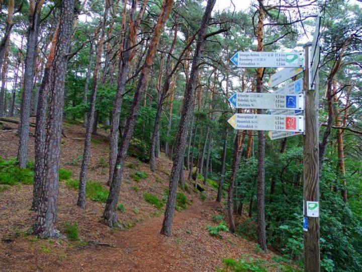 Das Bild zeigt mehrere Wegweiser im Pfälzerwald.