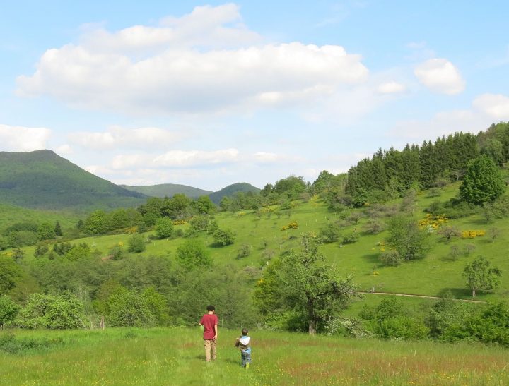 Das Bild zeigt zwei Kinder auf einer Wiese.