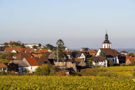 Das Bild zeigt einen Blick auf das Dorf Weyher an der Deutschen Weinstraße