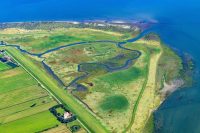 Vor 30 Jahren: Anerkennung der drei Biosphärenreservate Hamburgisches Wattenmeer, Niedersächsisches Wattenmeer und Pfälzerwald durch die UNESCO