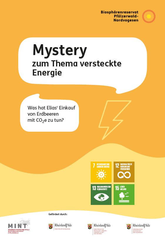 Titelblatt des Mysterys zum Thema Energie