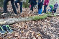 Junge Entdecker*innen im Pfälzerwald