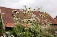 Mit Wissen und Freude durch Wald und Flur: Biosphären-Guide-Touren zum Saisonstart im März und April