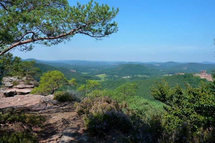 Das Bild zeigt einen weiten Ausblick über den Pfälzerwald von einem Felsen aus.