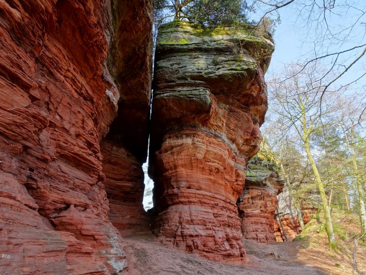 Die Altschlossfelsen ragen als hohe Wände und Säulen empor. Es sind die verschiedenen Steinschichten mit ihrer roten Färbung zu sehen.