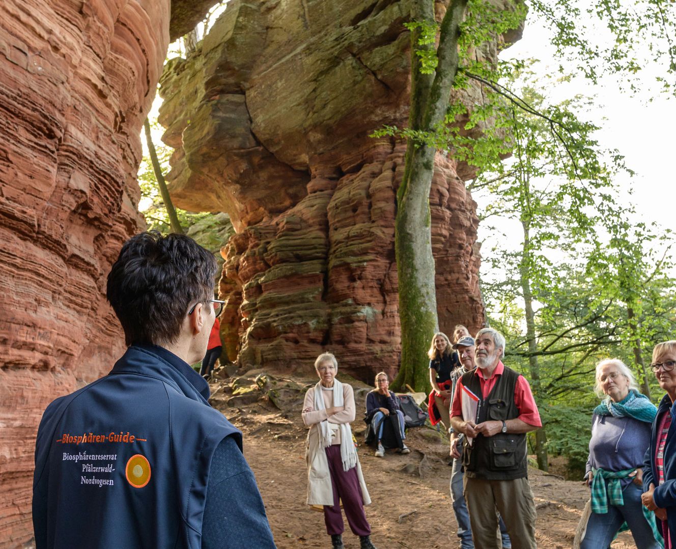 Das Bild zeigt eine Biosphären-Guide von hinten mit einer Gruppe vor Felsen im Pfälzerwald