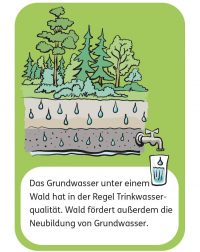 Mysterys zu den Themen Wald, Wasser und versteckte Energie