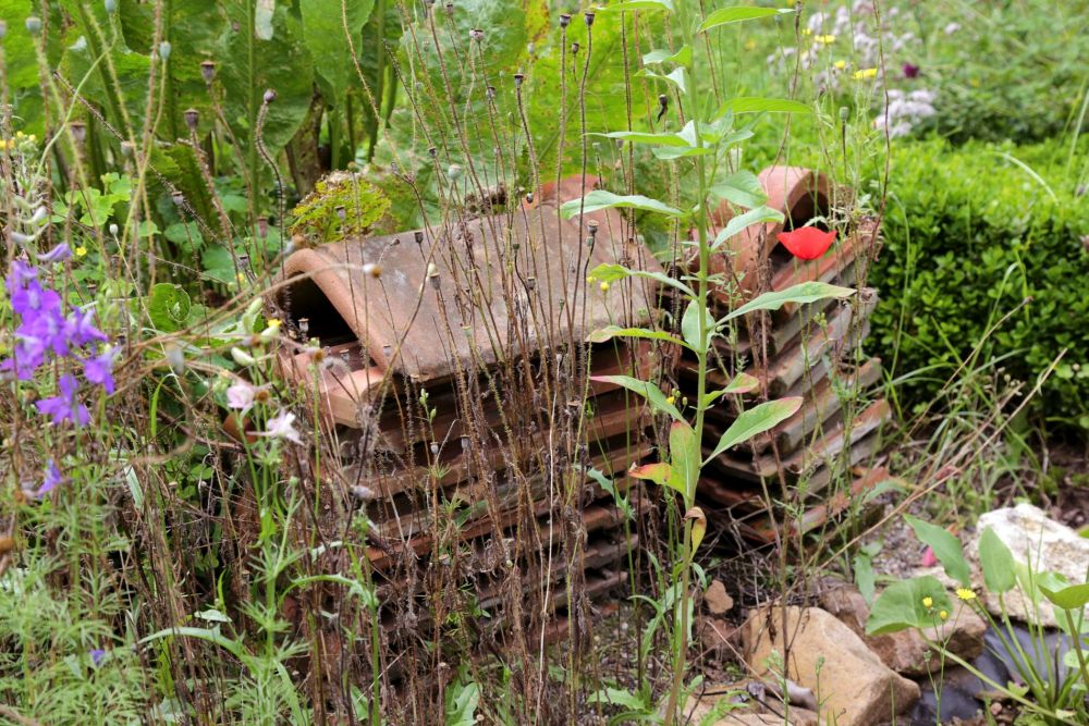 Das Foto zeigt einen Ausschnitt aus einem naturnahen Garten mit einem Ziegelhaufen und Wildpflanzen.