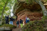 Biosphären-Guide-Touren von März bis Anfang Mai: Mit Wissen und Spaß an der Natur durch Wald und Flur