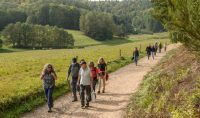 Moosurwelten, Mistkäferathleten und Wildkräuter: Biosphären-Guide-Touren im Juli und August