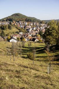 Vortrag mit Heike Boomgaarden und Prof. Christoph Künast zu artenvielfalts- und klimagerechter Begrünung kommunaler Flächen