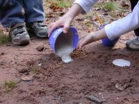 Schnitzen, Werken und Spurenlesen: November-Termine in der Biosphärenakademie