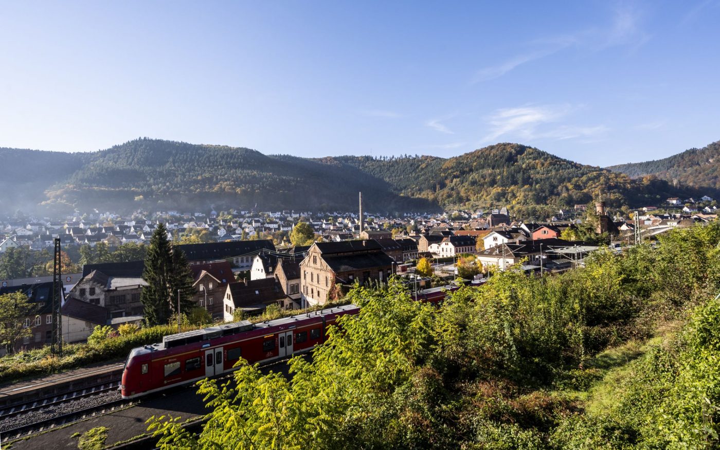 Das Bild zeigt einen Blick auf die Stadt Lambrecht im Pfälzerwald.