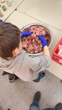 „Schmeckt super“ Aktionstag für Biosphärenschule in Busenberg: Kinder stellen Wurst her