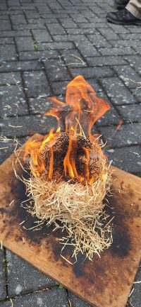 Auf in den Frühling! Kreative Workshops zum Saisonstart in der Biosphären-Akademie – Termine im März