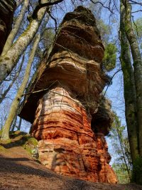 Schätze der heimischen Natur entdecken!
